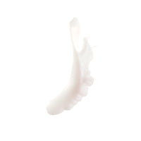 SHINY miniatura 5
